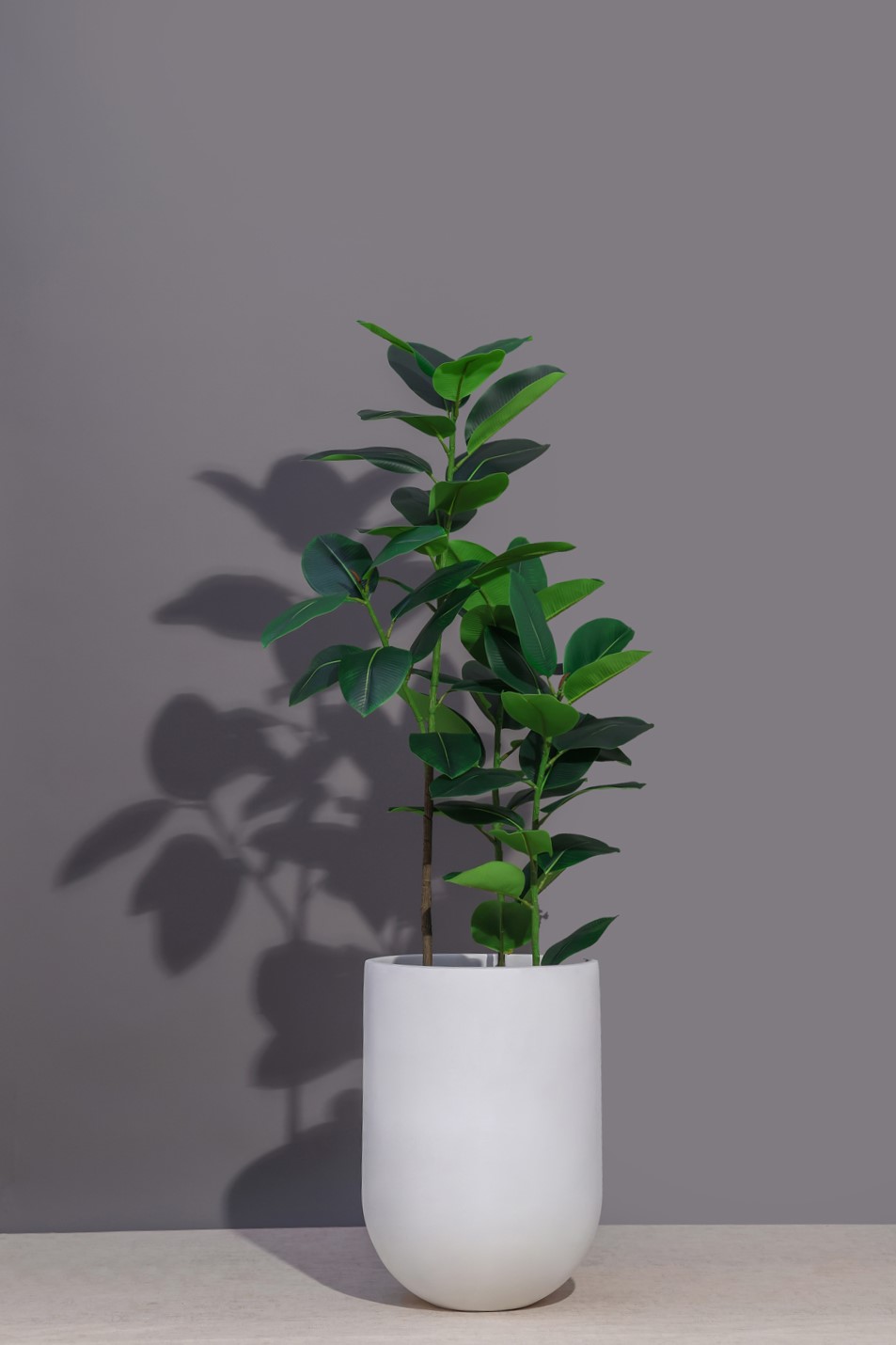 Indoor Planter