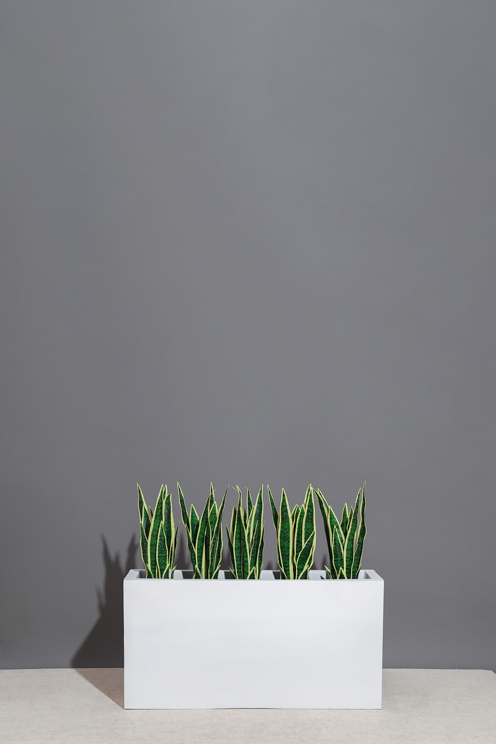 Rectangular Planter